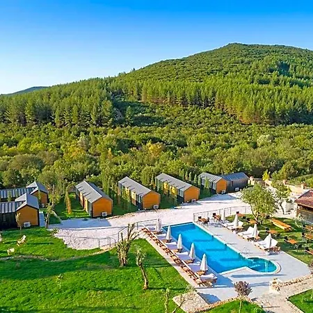 Kairos 4*